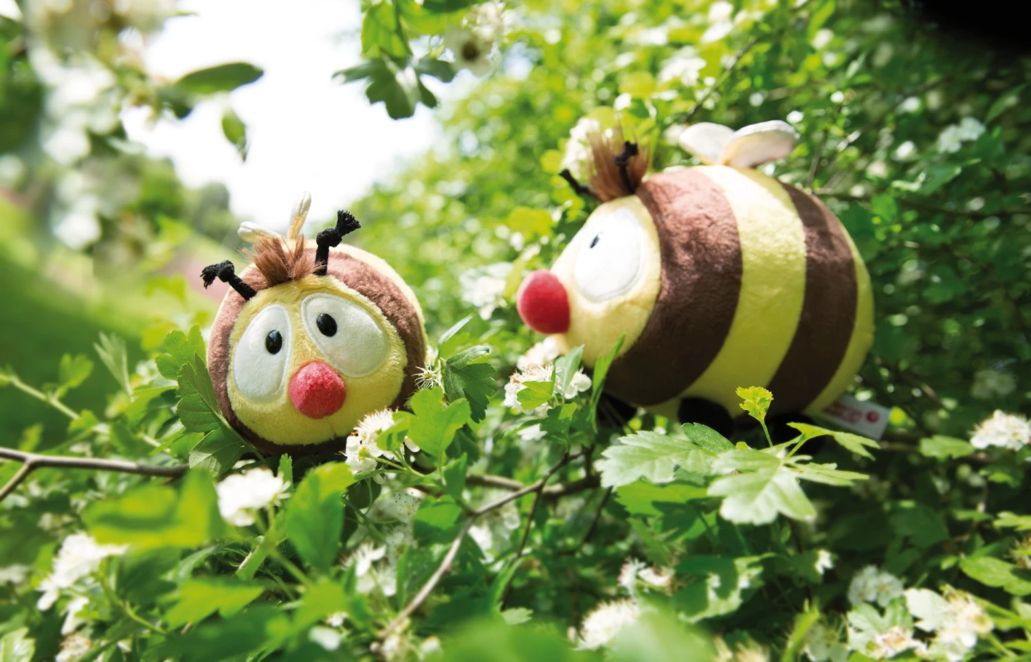 Nici 44481 Biene Classic Bear Bär Ca 17cm Plüsch Kuscheltier 7 Nici 44481 Biene Classic Bear Bär Ca 17cm Plüsch Kuscheltier – Bild 5