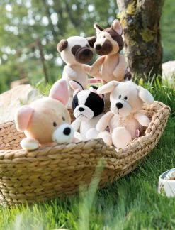 Nici 45101 Französische Bulldogge Ca 20cm Dog Friends Schlenker Plüsch -Plüschwelt Verkauf 45100 08 Milieu 1561x20481lwOskeOphzek