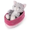 Nici 48086 Sleeping Kitties Schlafende Katze Im Körbchen 12cm Plüsch Grau -Plüschwelt Verkauf 47141 01 HA Frei 1867x2048