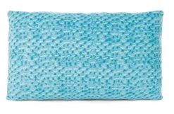 Nici 47615 Kissen Bär Kakaobraun & Frosch 43x25cm Plüsch Classic Bear GREEN -Plüschwelt Verkauf 47615 02 ZA Frei 2048x1336