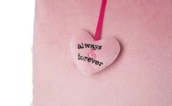 Nici 48274 Kissen Schwan Weiß Rechteckig 43x25cm Plüsch Love Classics GREEN -Plüschwelt Verkauf 48274 03 ZA Frei 2048x1265