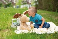 Nici 48596 Hase Ralf Rabbit Ca 50cm Plüsch Kuscheltier Schlenker Spring -Plüschwelt Verkauf 48596 11 Image 2048x1365