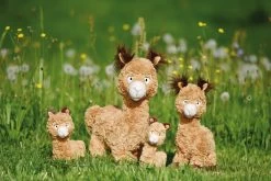 Nici 48604 Alpaka Al Paka 25cm Stehend Plüsch Kuscheltier GREEN -Plüschwelt Verkauf 48606 12 48604 48602 48608 Milieu 2048x1366