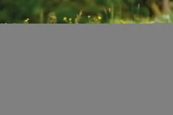 Nici 48603 Alpaka Chic Paka 20cm Stehend Plüsch Kuscheltier GREEN 11 Nici 48603 Alpaka Chic Paka 20cm Stehend Plüsch Kuscheltier GREEN -Plüschwelt Verkauf 48607 14 48603 48605 48609 Milieu 2048x1366