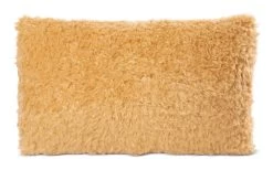 Nici 48787 Kissen Bär Mielo Rechteckig 43x25cm Plüsch GREEN Classic Bear 9 Nici 48787 Kissen Bär Mielo Rechteckig 43x25cm Plüsch GREEN Classic Bear -Plüschwelt Verkauf 48787 04 ZA Frei 2048x1281