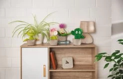 Nici 48941 Kaktus Pflanze Henriette 18cm Plüschfigur GREEN Funny Flowers -Plüschwelt Verkauf 48941 11 Milieu 48942 48943 48944 Milieu me