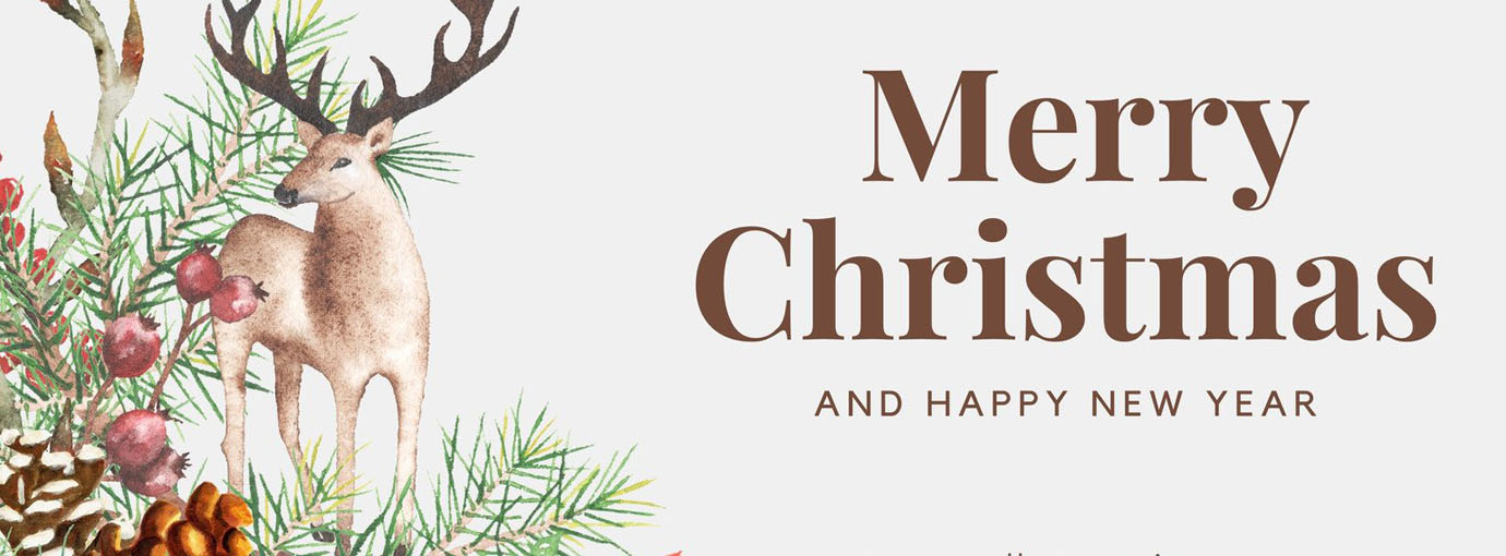 Plüschwelt Verkauf -Plüschwelt Verkauf 158